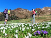 11 Andiamo alla Baita Alpini